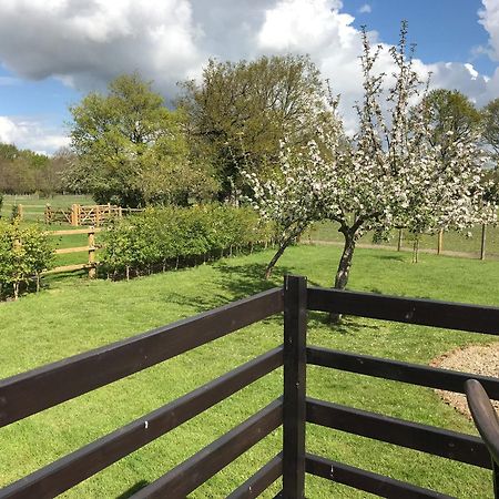 Maplehurst Barn Stables Staplehurst Esterno foto