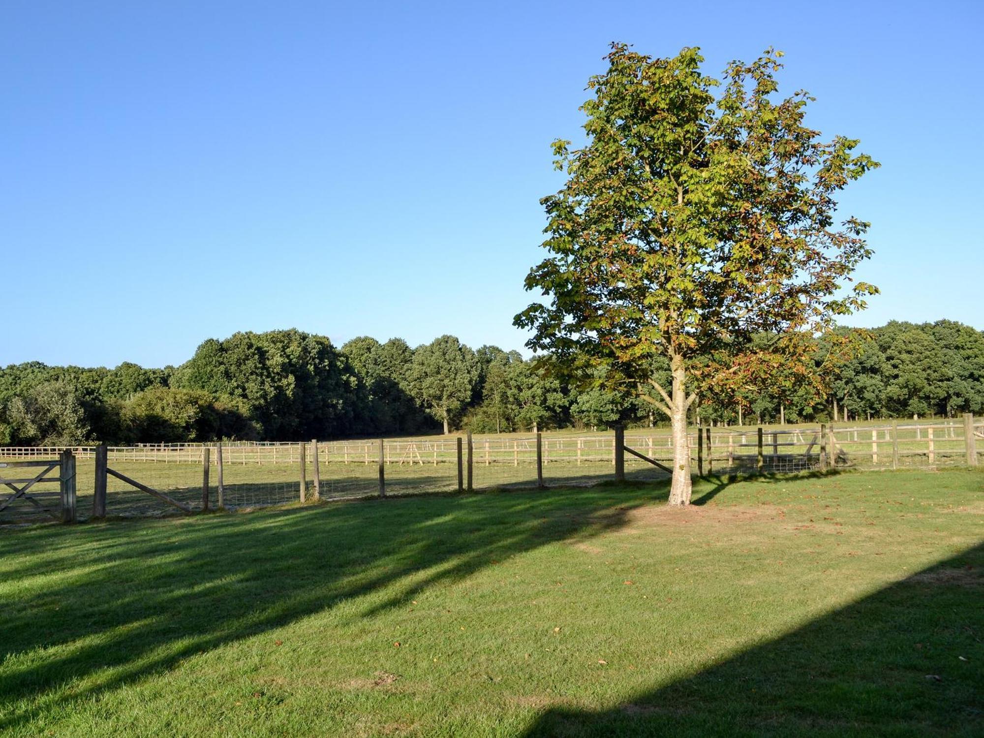 Maplehurst Barn Stables Staplehurst Esterno foto