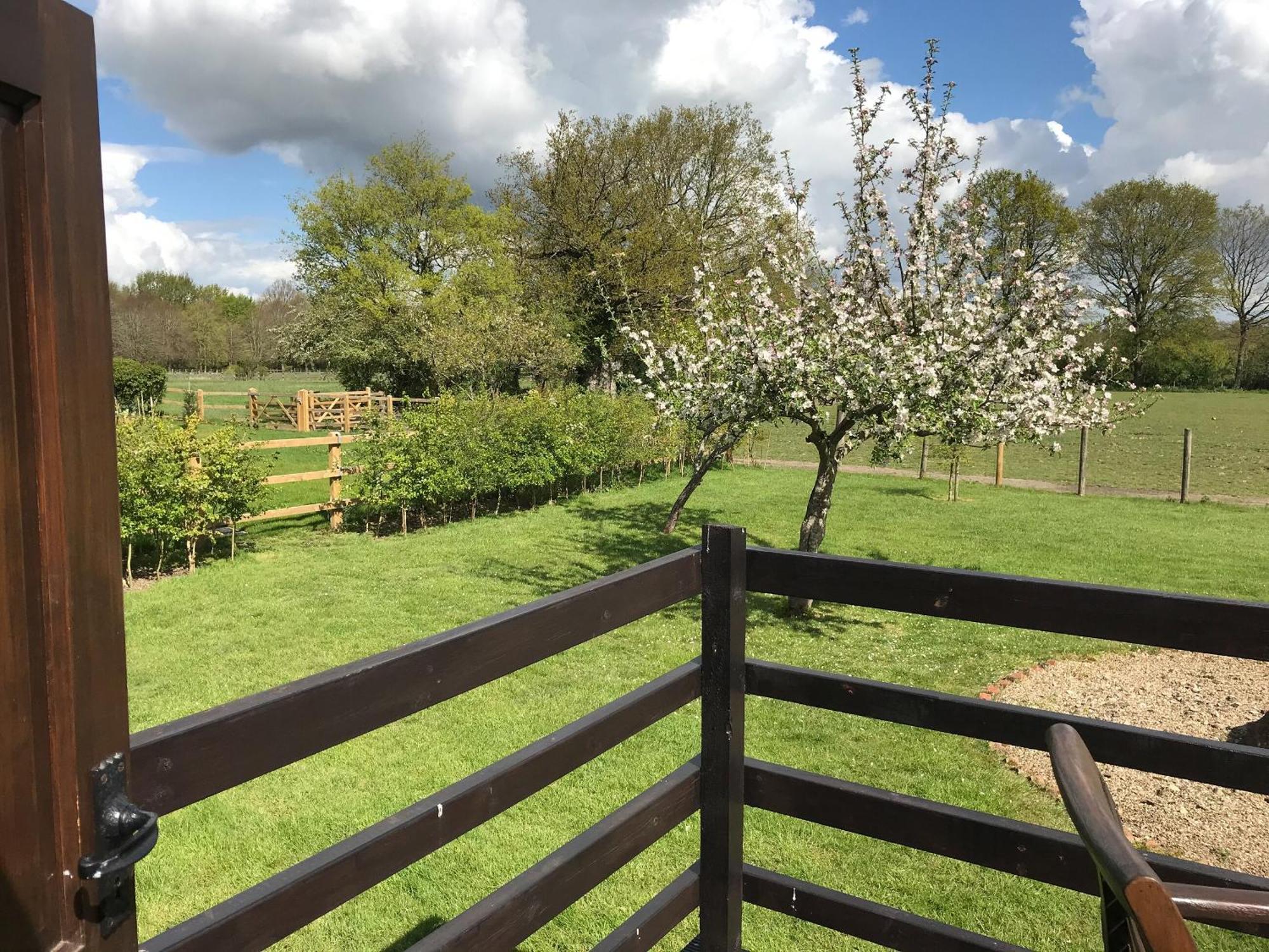 Maplehurst Barn Stables Staplehurst Esterno foto