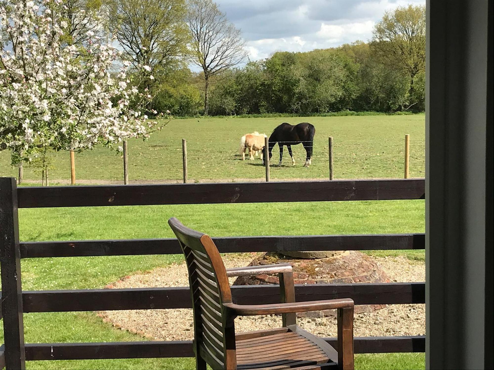 Maplehurst Barn Stables Staplehurst Esterno foto